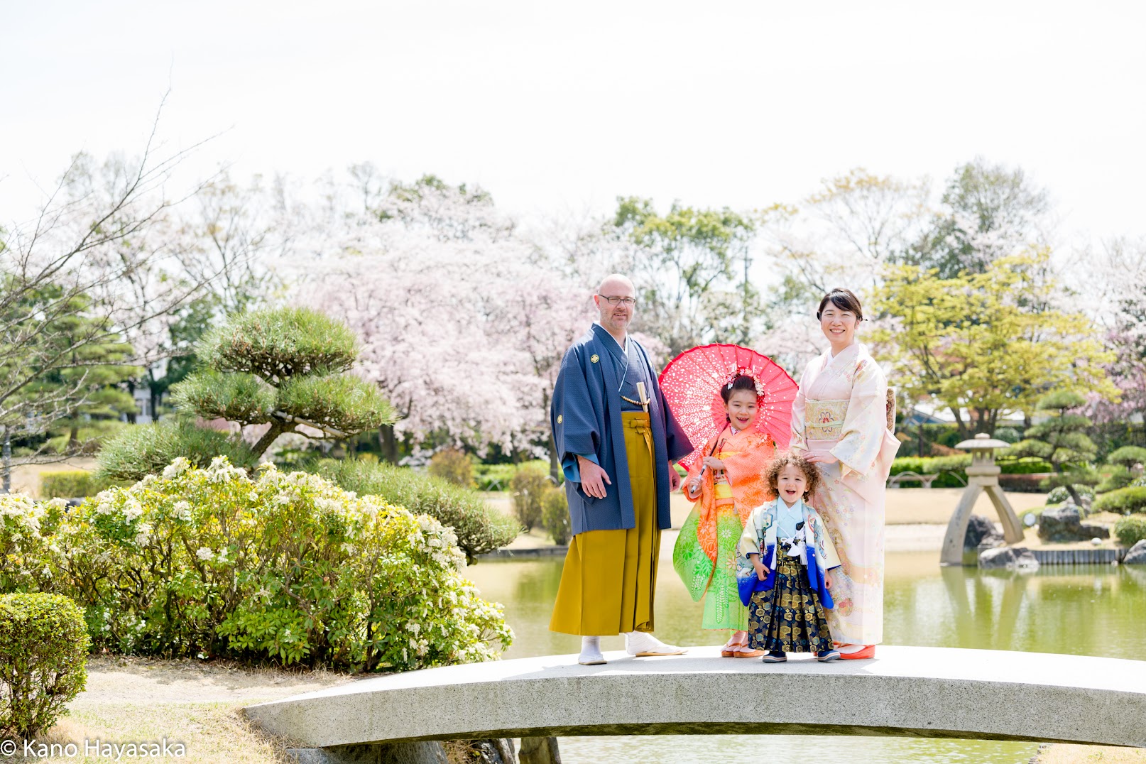 花田苑の桜と橋を背景にした七五三の家族写真