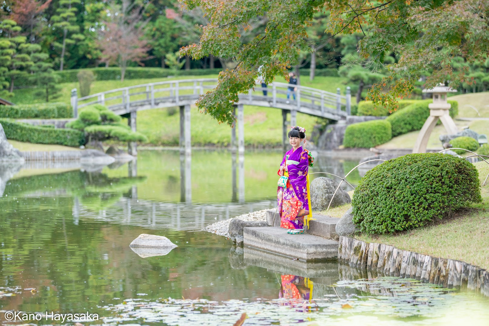 花田苑の池と橋、七五三の着物姿の女の子