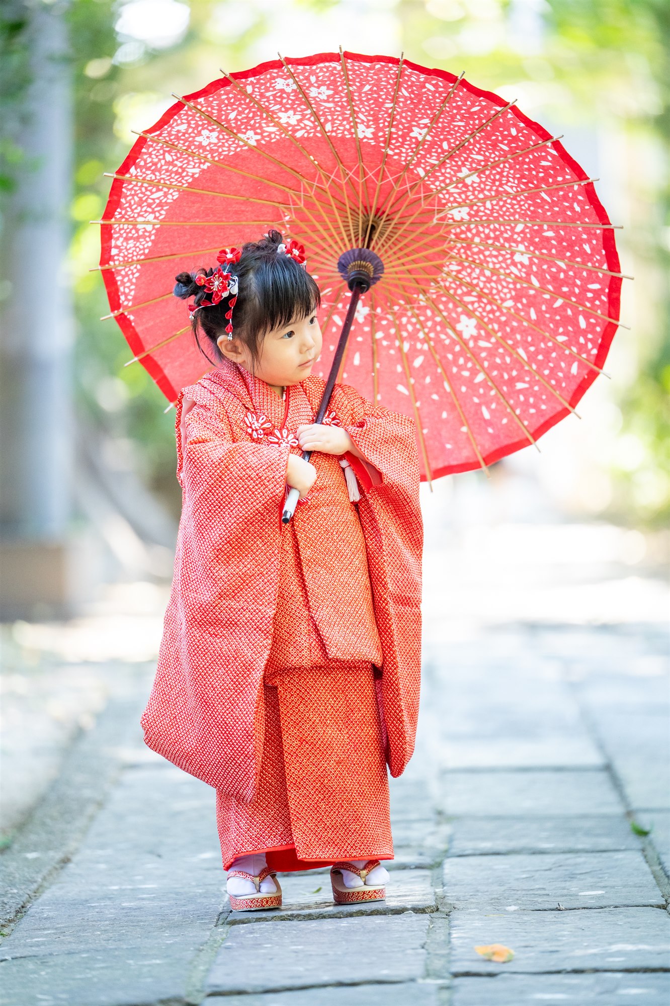 鳥居の参道で和傘を持つ3歳の七五三の女の子